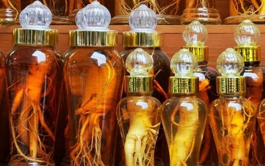 La teinture d'alcool du ginseng