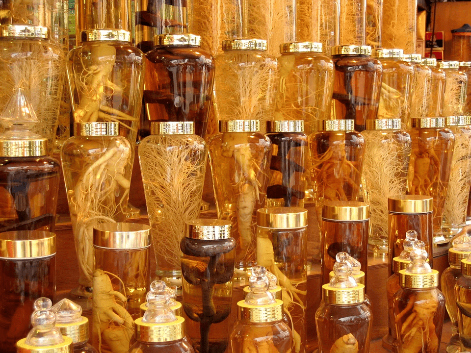 Racine de ginseng pour augmenter la puissance